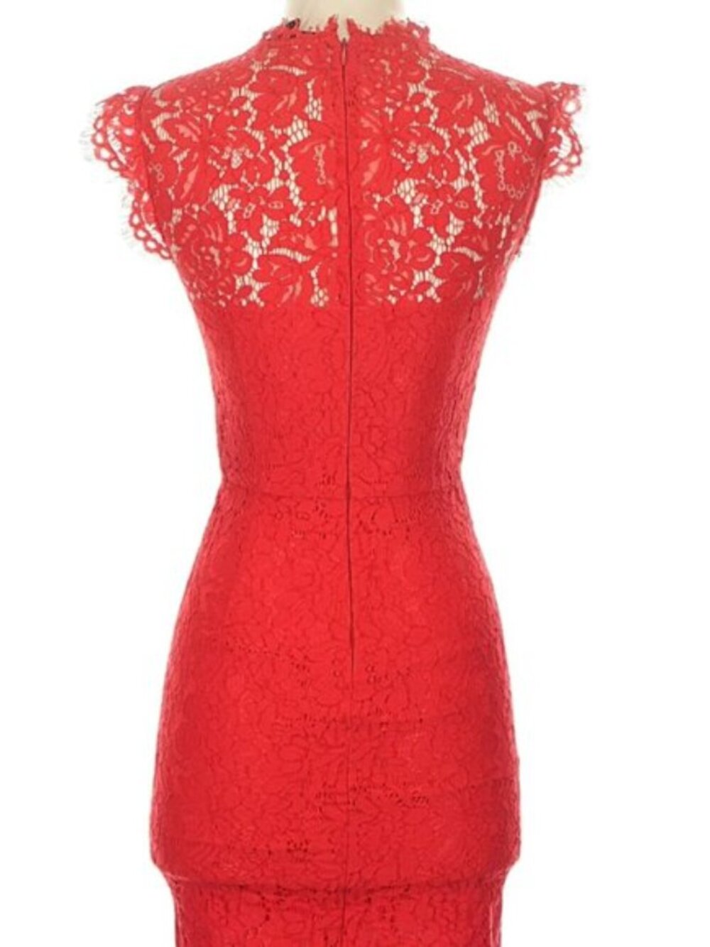 Rachel Zoe Red Lace Midi Dress - Picture 2 of 8